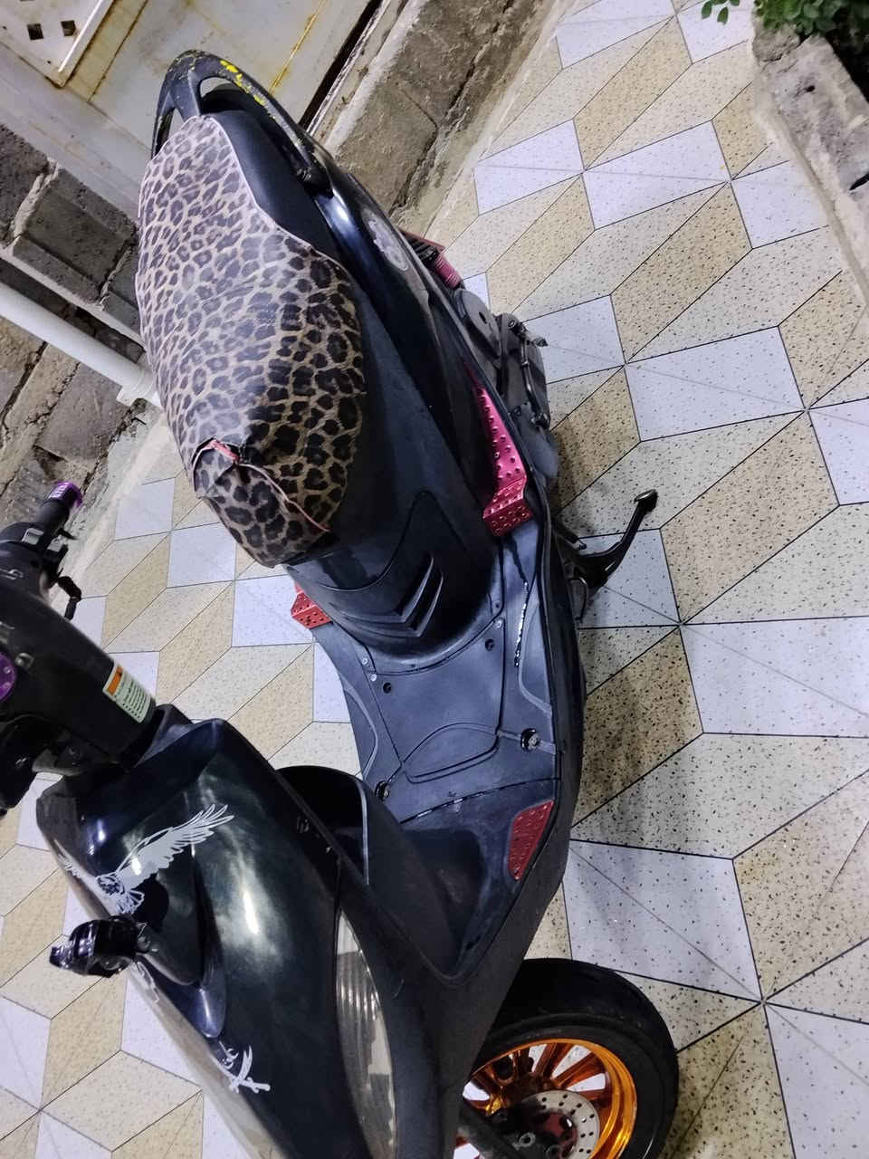 البوسه 49 • مجال • واتساب
