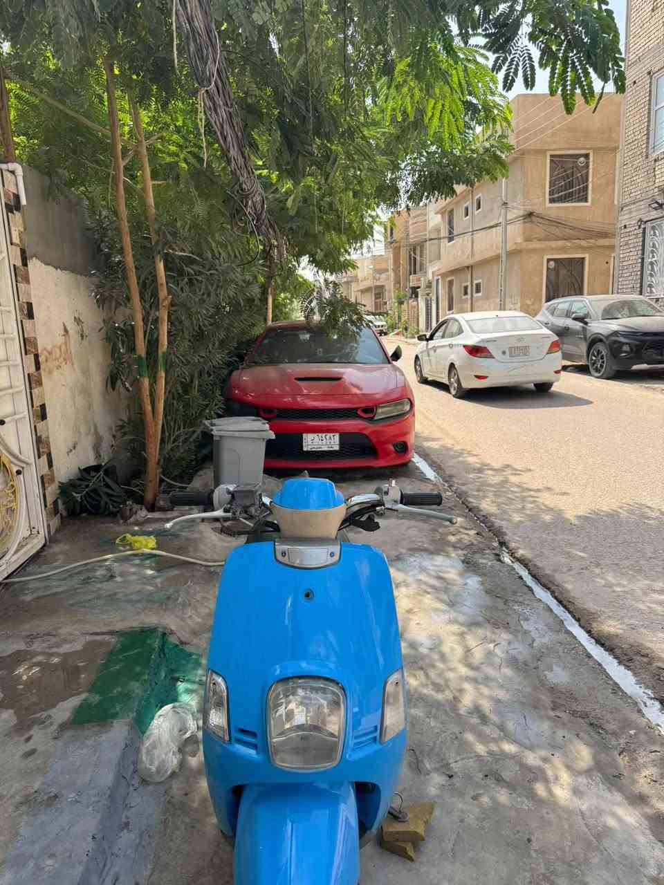 بوليسي • نضيفه • كهربائيات