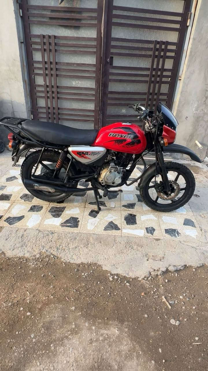 بوكسر جبلي • ٢٠٢٣ • اوراق ضايعه
