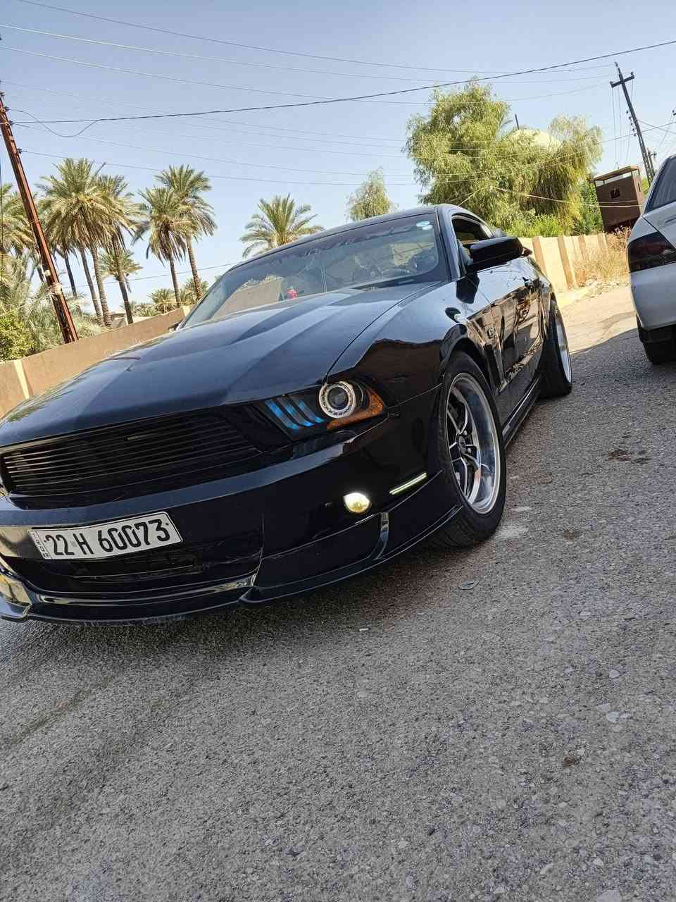 موستنك 2012 3.7L بريميوم كير عادي
بيع او مراوس السعر 80
حادث سطحي جاملوغ ونص البنيد بدون اي داخل نهائياً
يعني صبغ قطعتين ونص (جاملوغ + بنيد+ ربع جاملوغ ثانيه) الباقي كفاله  واعتقد انضف وحده بموديلها
مكينه كير اكسل صدر تبريد كله جديد
كلج مكلاود خمس ع راحتك كير عادي 6 نمر  
سقف روز رايز
لايت متغير 230 حركه ع التلفون وعدسات اوزوم + ننظومه زنون
وياله ويلد ١٨ توسايز جدد بدون تصليح مع تخم تاير جديد
كشنات كهرباء
بك لايت مال 14 
*********** ديالى
