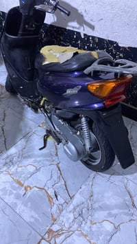 عصفوري • معدل • نهضه