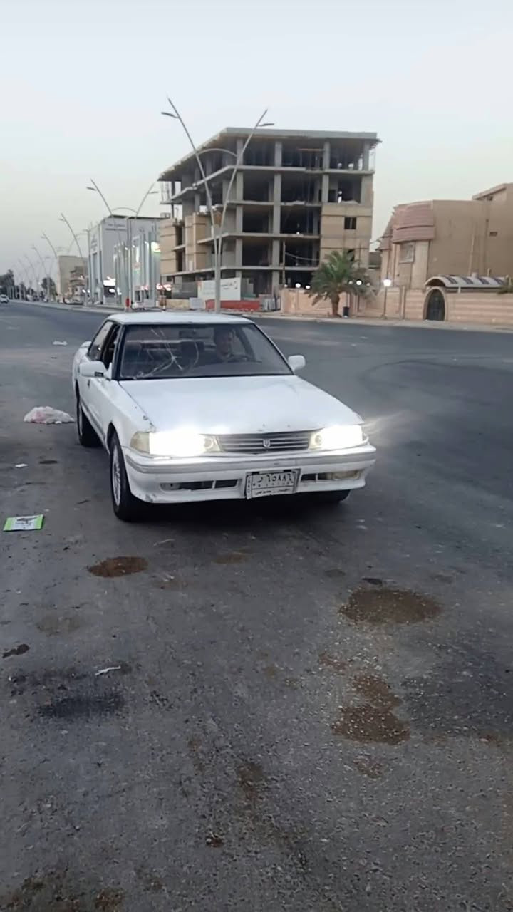 مارك كصيف كفاله من الكص والنقل اصولي رقمها انبار راعيها ماندله ابيع بدون راعي سنويه كارتونيه مكينه وكير ونجي جدد بالكارتوون كهربايات شغاله لايت زنون تخم سماعات مسجل بلوتوث بطاين جدد السعر20 وبيها مجال او مراوس حسب رغبه مكاني زبير ***********
لجنح موويياها
