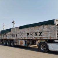 عربانه • شاصي ١٦ • طول ١٢ ونص