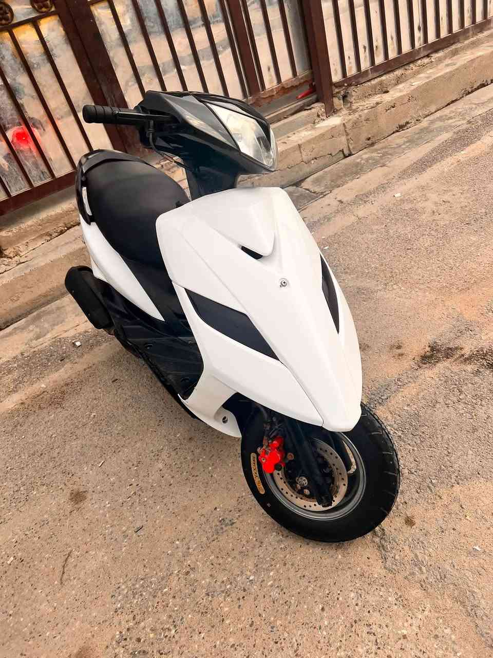 ماكس ثعلب