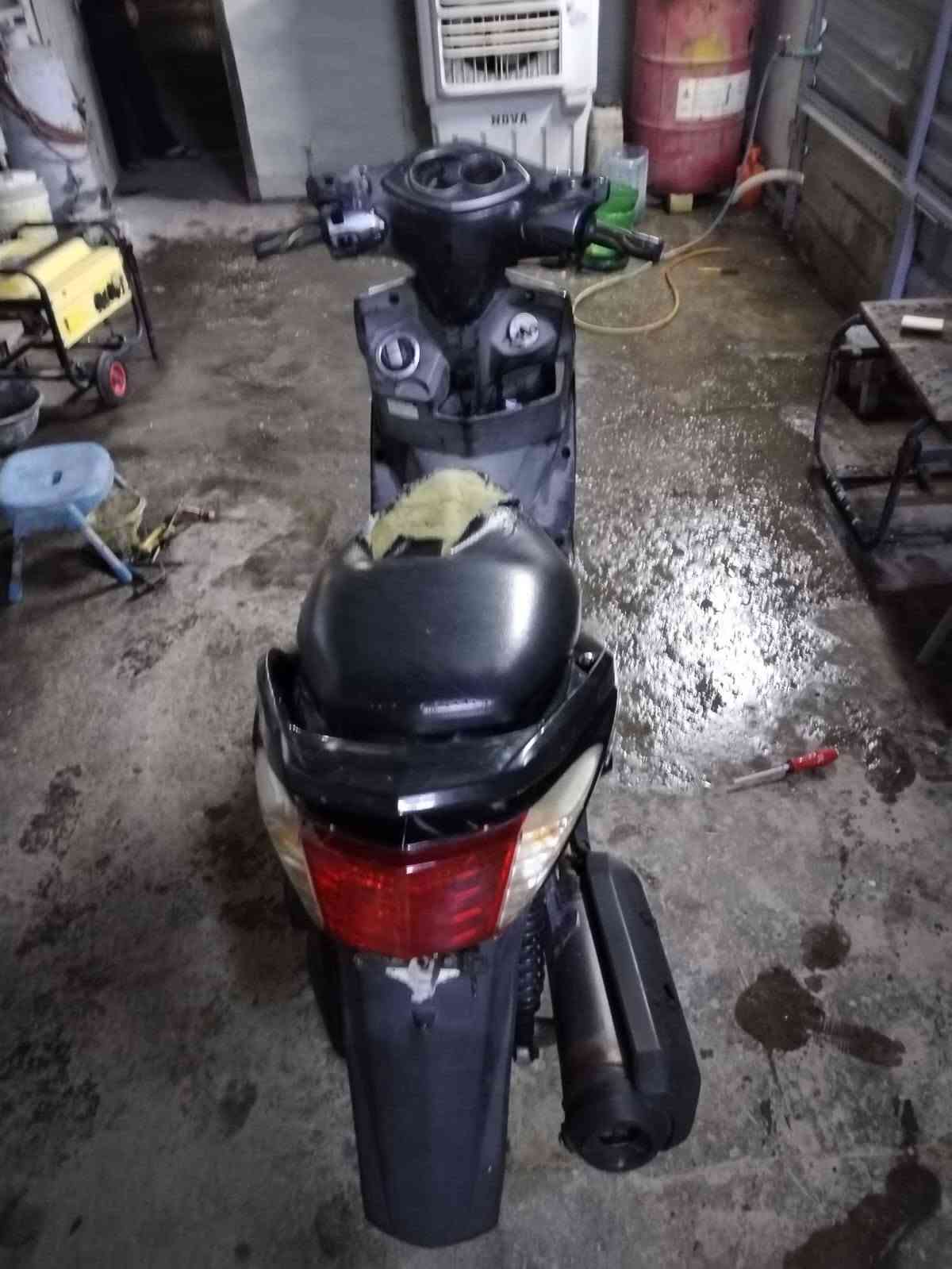 سكنس فحل • نوزل ياباني • جديد