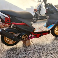 تفصيخ • ثعلب • سكنس 140