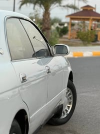 كفالة عامه • صبغ تجميلي • ذي قار