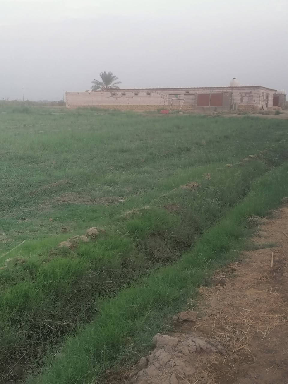 ٢ دونم • مويه وكهرباء • طابو