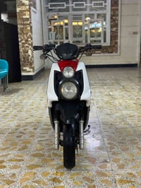 سكنس جبلي • مكفوله • ماشة ٣٥