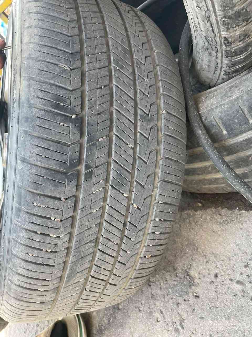 تخم جدا نظيف n lin للبيع بغداد الدوره
