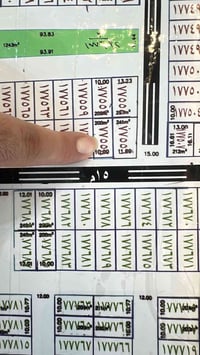 عرصة • حي الرافدين • ٢٠٠م