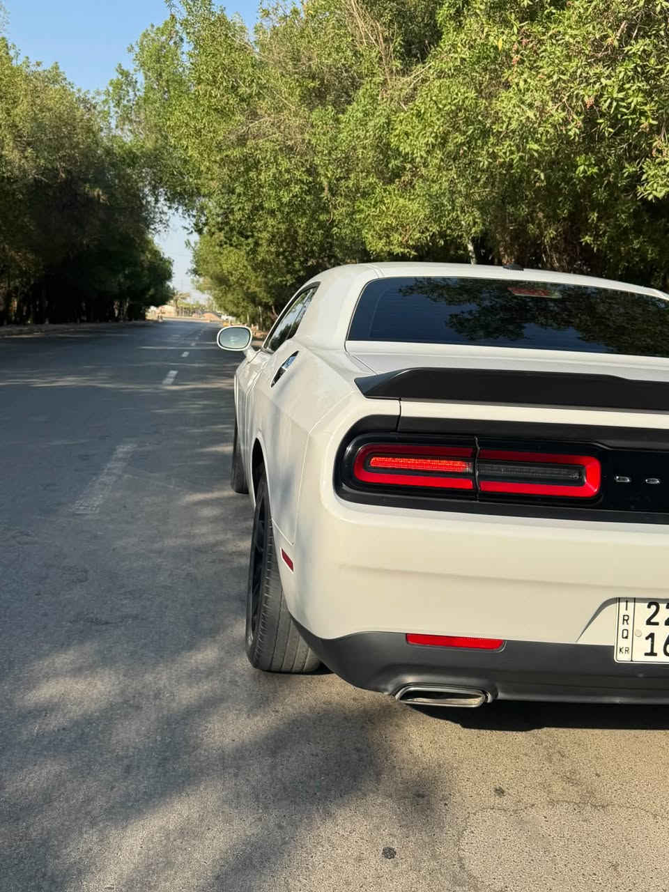 السلام عليكم👋
Dodge challenger
 sxt last call 2023 لون ابيض .

رقم اربيل تريد تحويل تريد وكالة

السياره بيه صبغ قطعتين  جاملغ و البنيد
بيه بارد بالجاملغ الخلفي 
صور الحادث مرفقة بالمنشور .
مكينه3600 — ماشيه 41 الف قابل للزيادة 
السياره تو ويل المرغوب ..
مواصفات الـsxt
شاشه 
كامره 
بصمه + بصمه ابواب
كشن كهرباء 
مثبت سرعه
سماعات ALPINE sound من اعلى الفئات 
كشافات ضباب 

رقم ***********
واتس ادزلك سونارهه والتفاصيل 
مكان السياره النجف 
السعر : 173 خابر وتدلل
