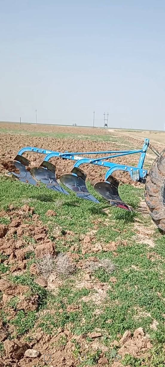 فدان • رقم ١٠ • للبيع