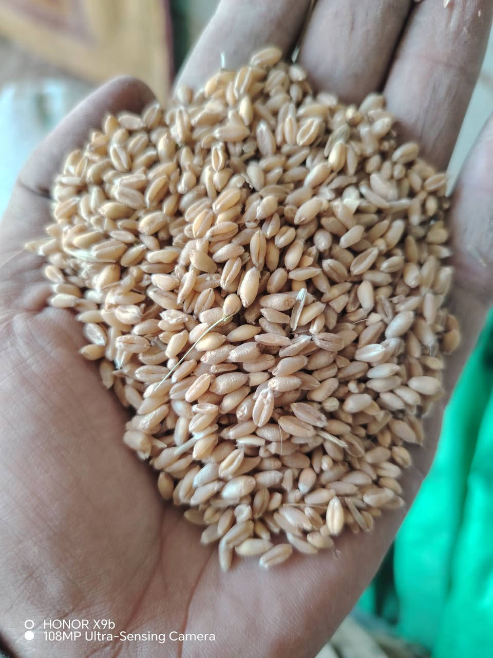 بنت الچيس • ٣٧٥٠ كيلو • الرشاد كركوك