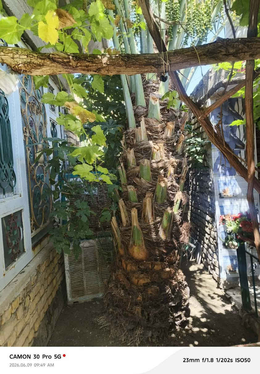 بيت للبيع • ٢٠٠م • زين القوس