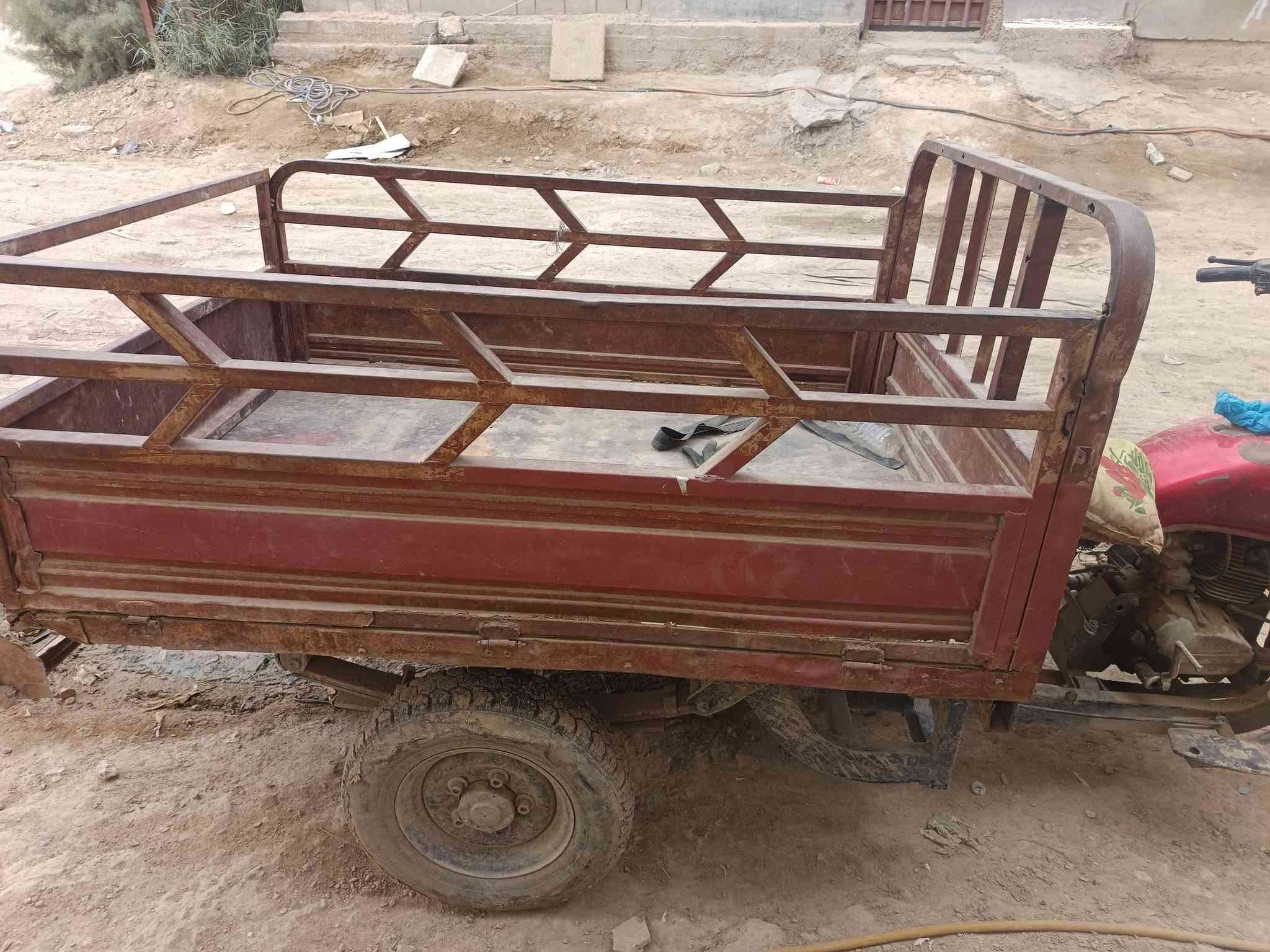 ستوته • شغاله • فيه مجال