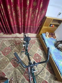 سانتوس • زيتوني • حالة ٨٥٪