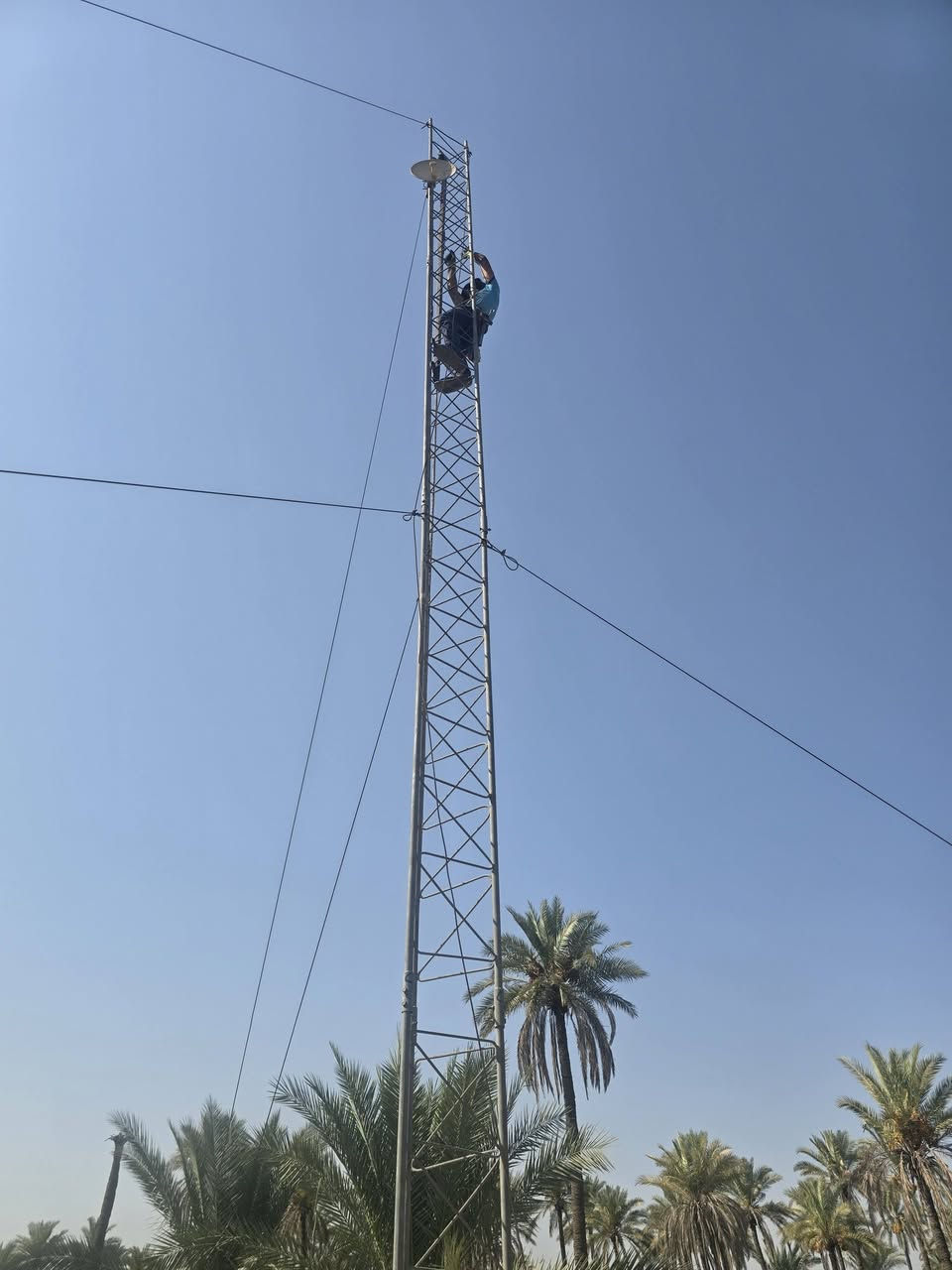 تم تفصيخ ونصب ١٨ م كربلاء طويريج.
***********
علاء
