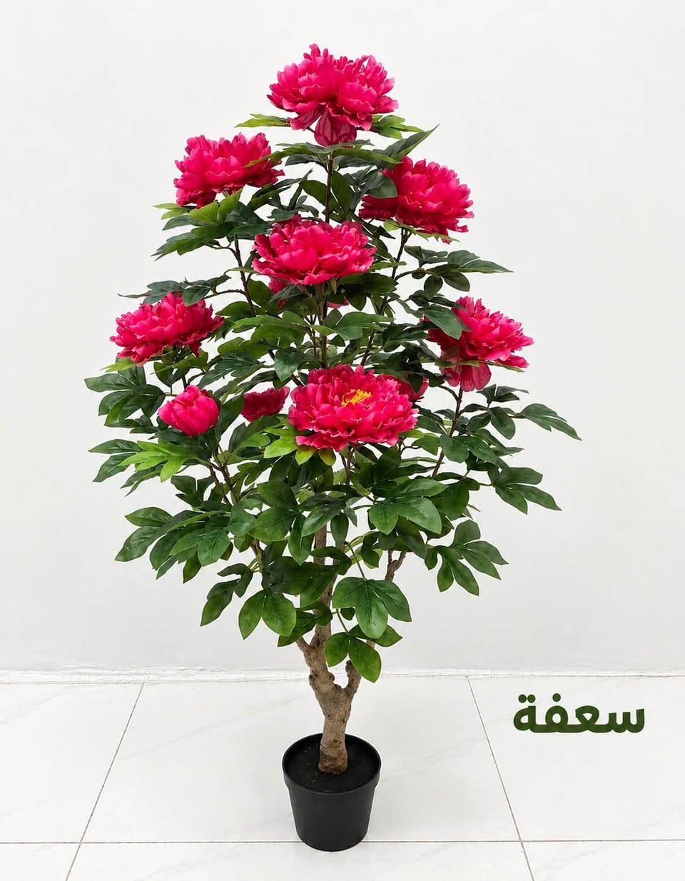 نباتات
وصلتنا نباتات اصطناعية
ومثل ما عودناكم كوالتي درجة أولى 
بأرتفاعات  مختلفة والكمية محدودة
للطلب مراسلتنا #دايركت او #واتس ***********

#سعفة 🌿
#متوفر_توصيل_لجميع_المحافظات

نص مكتوب في الصور:
- سعفة
