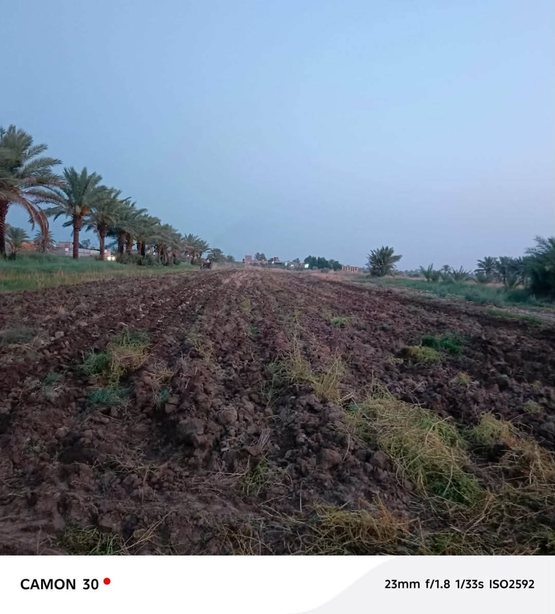 سلام عليكم... اخوان ارض زراعيه مساحتها (5) دونم منطقه الشهابيه (بابل كفل) تبعد عن التبليط(طريق زوار)....(800)  متر ... شارع كوفه نجف ..  الجنس الأرض طابو والنصف الثاني اصلاح زراعي يوجد فيها كهرباء واسأله ماء وتوجد مدرسه قريبه منها تبعد مسافه ٢٠٠ متر  وماء موجود لزراعه ويوجد أيضاً ماطور ماء ويوجد طريق للأرض خوان الارض جاهزه ما ناقصها شي تجي شوفها شوف العين الي يحب يستفسر عن الارض وعن السعر هاذا رقم الهاتف 

***********
 مكتب سيد موسى ابو هدمه العقار
