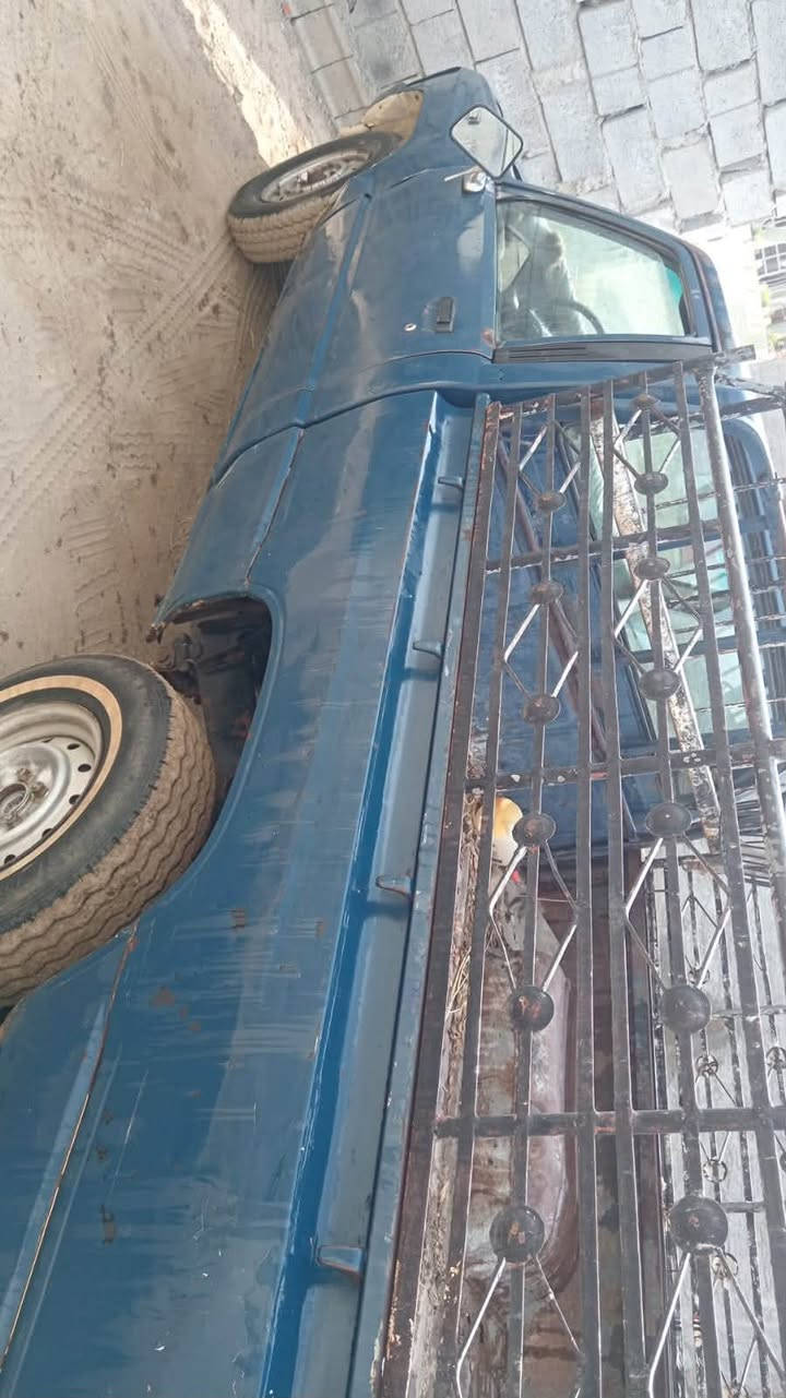 بيك أب • سنوية ٢٠٢٨ • بلد الضلوعيه