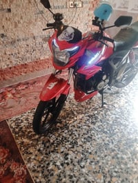 دايون • خفاش بطح • مديل ٢٤