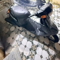 بطة فحل • حاويه • كفالة عامه