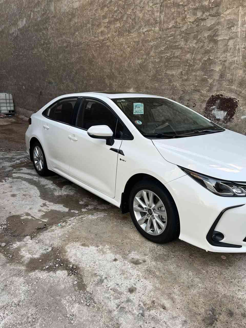 ماشية ٢٥ • كفالة عامة • لا يبرد