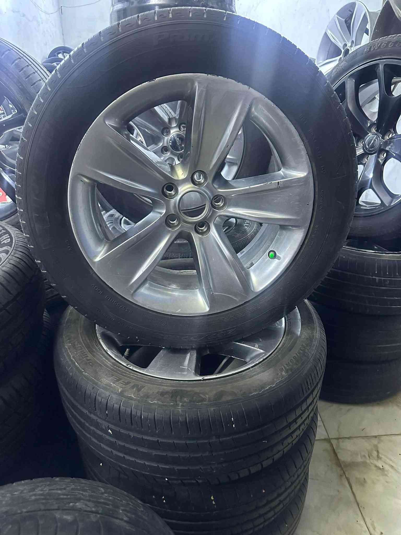للبيع • مراوس • كربلاء طويريج