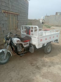 ستوته • ٢٠٢١ • شاصي مكفول