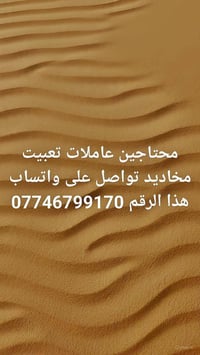 فرصة عمل • بدون تفاصيل