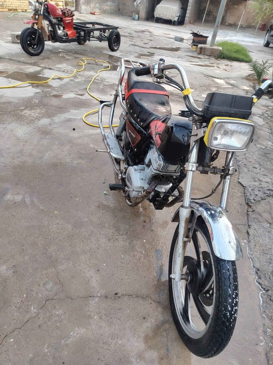 جونده • جديده • ميسان