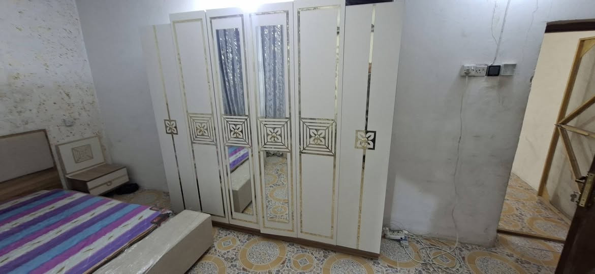 تركي • ٨ قطع • حي اور