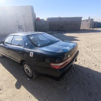 شيزر • الزبير • كفاله عامه