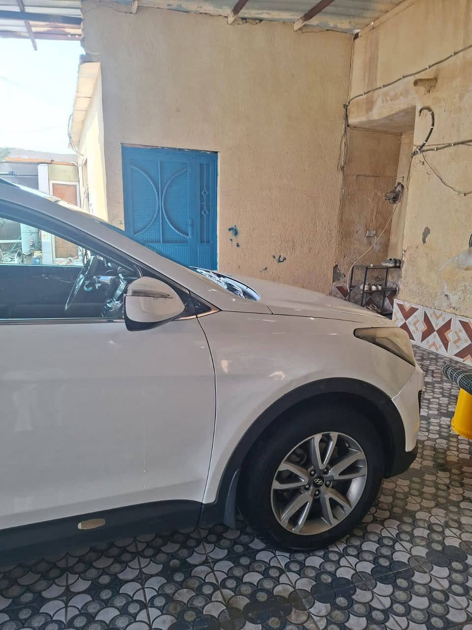 سنتافيا • ٢٠١٣ • مراوس فلونزا