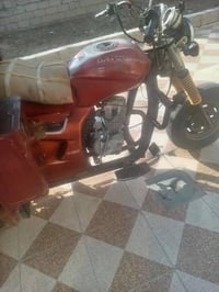 ستوته فحل • ٢٠١٩ • اوراق كامله