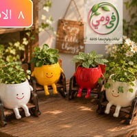 الكرادة • توصيل مجاني • توصيل لجميع المحافظات
