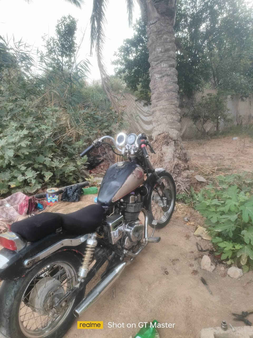 ريبل كلاسك • هوندا • مراوس