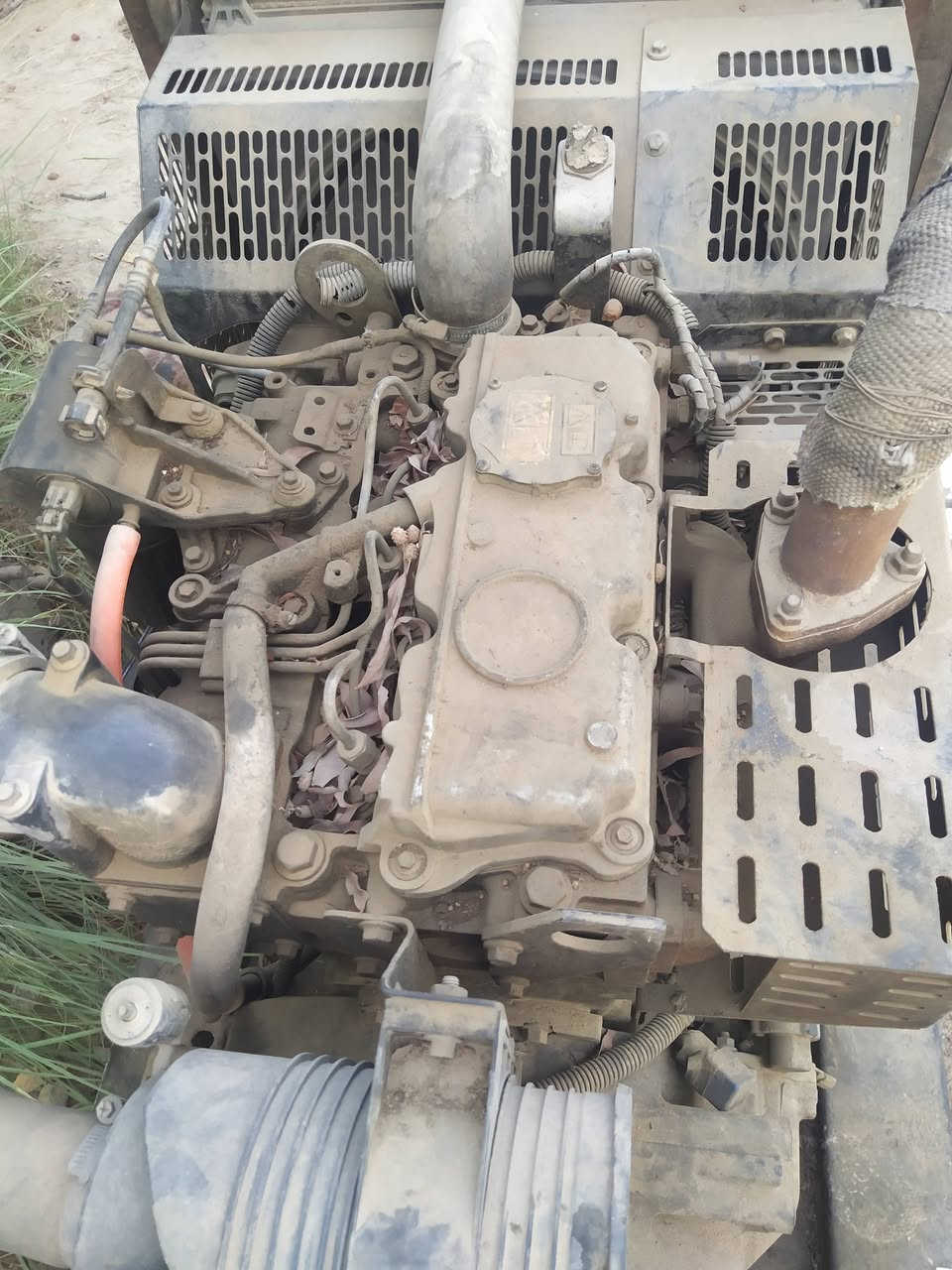 للبيع موالده بيركنز بزونه موالده جديده  نكره سلف جاهزه السعر 30 ورقه بيهه مجال مكان بابل القاسم للاستفسار اتصل ***********
