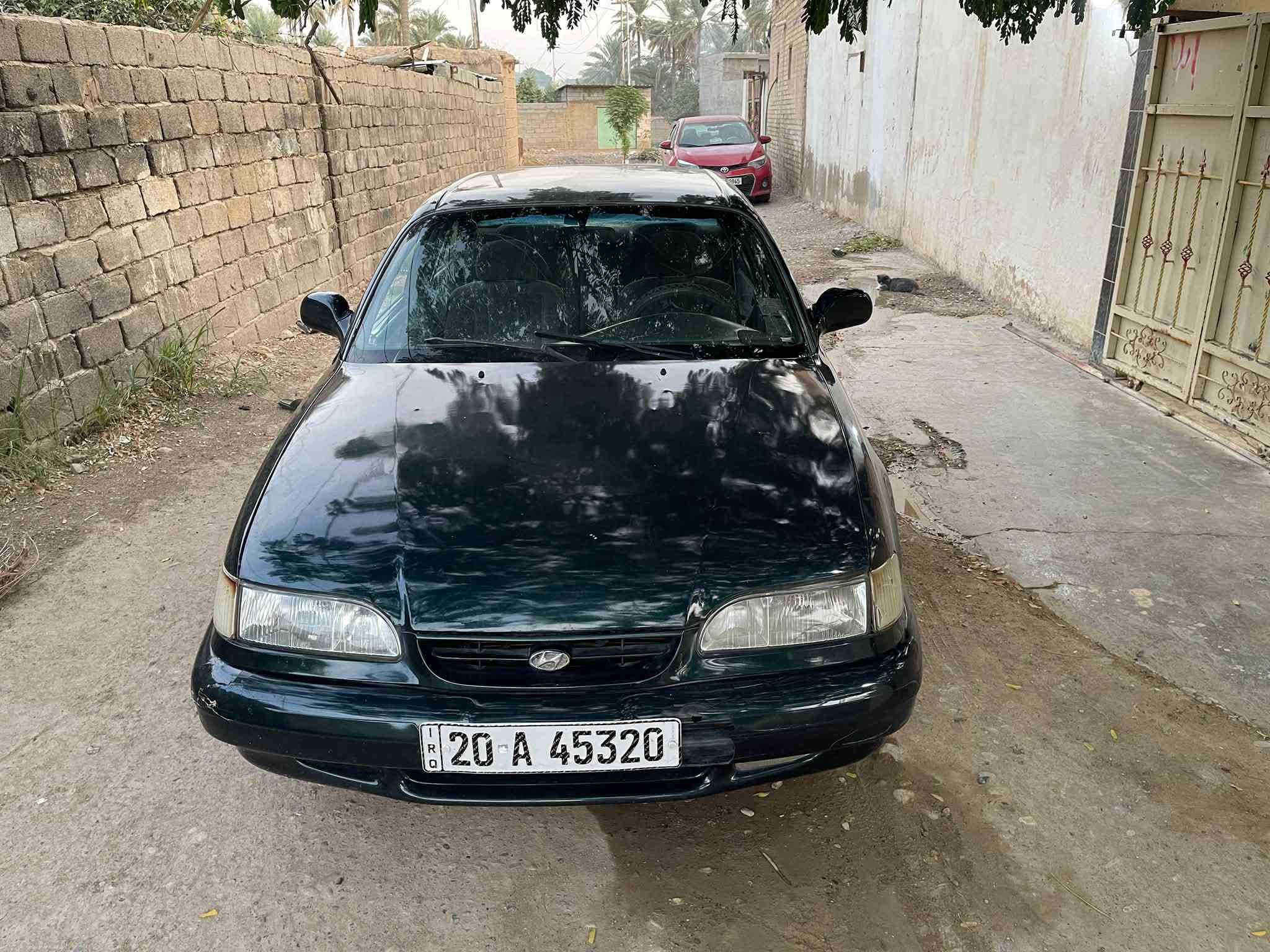 سوناتا ١٩٩٥ • زيتوني • المقداديه