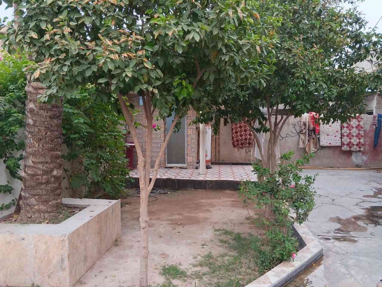 حي الرسالة • ٢٥٠م • طابو صرف
