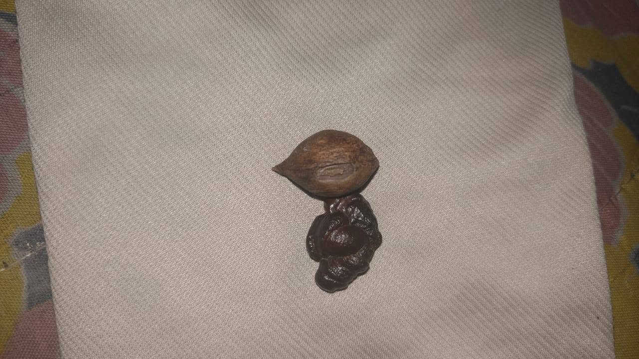 سلام عليكم
حجر البيع
 تفاصيل علا رقم الهاتف ***********
