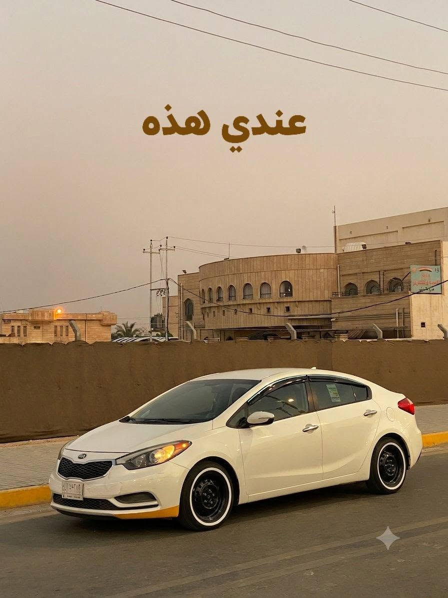 اصلي كوري • مختوم • تخم تاير