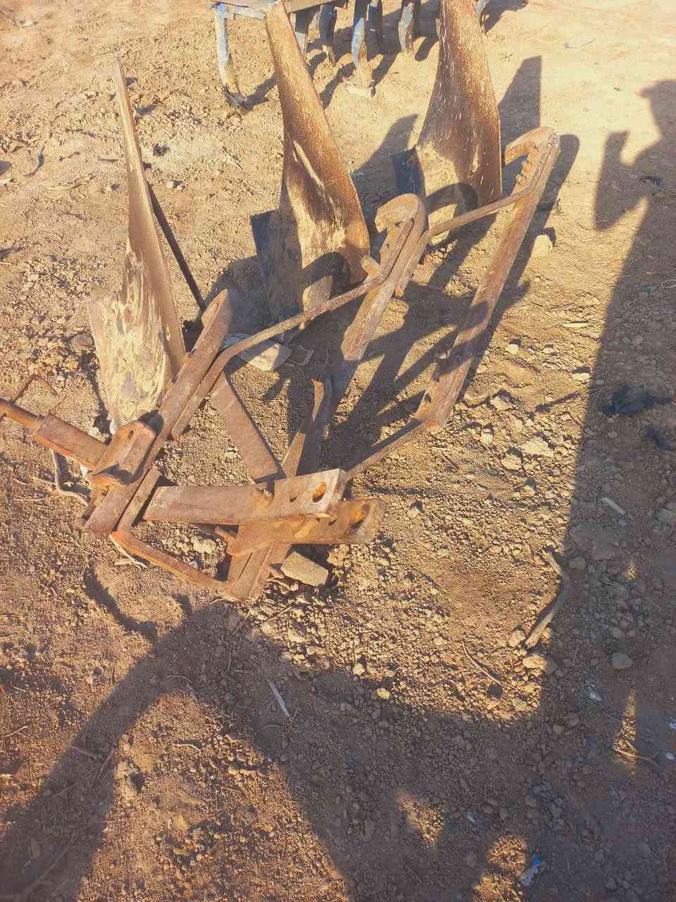 فدان عنتر اسكندري ابلادي ميسان العماره ***********
