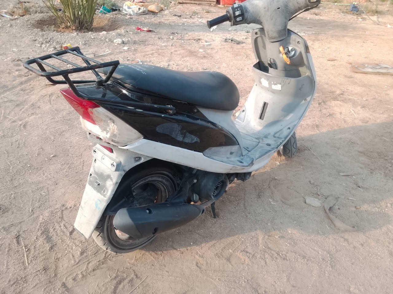 ماكس قجمه • سلف وهندل • جاهزه