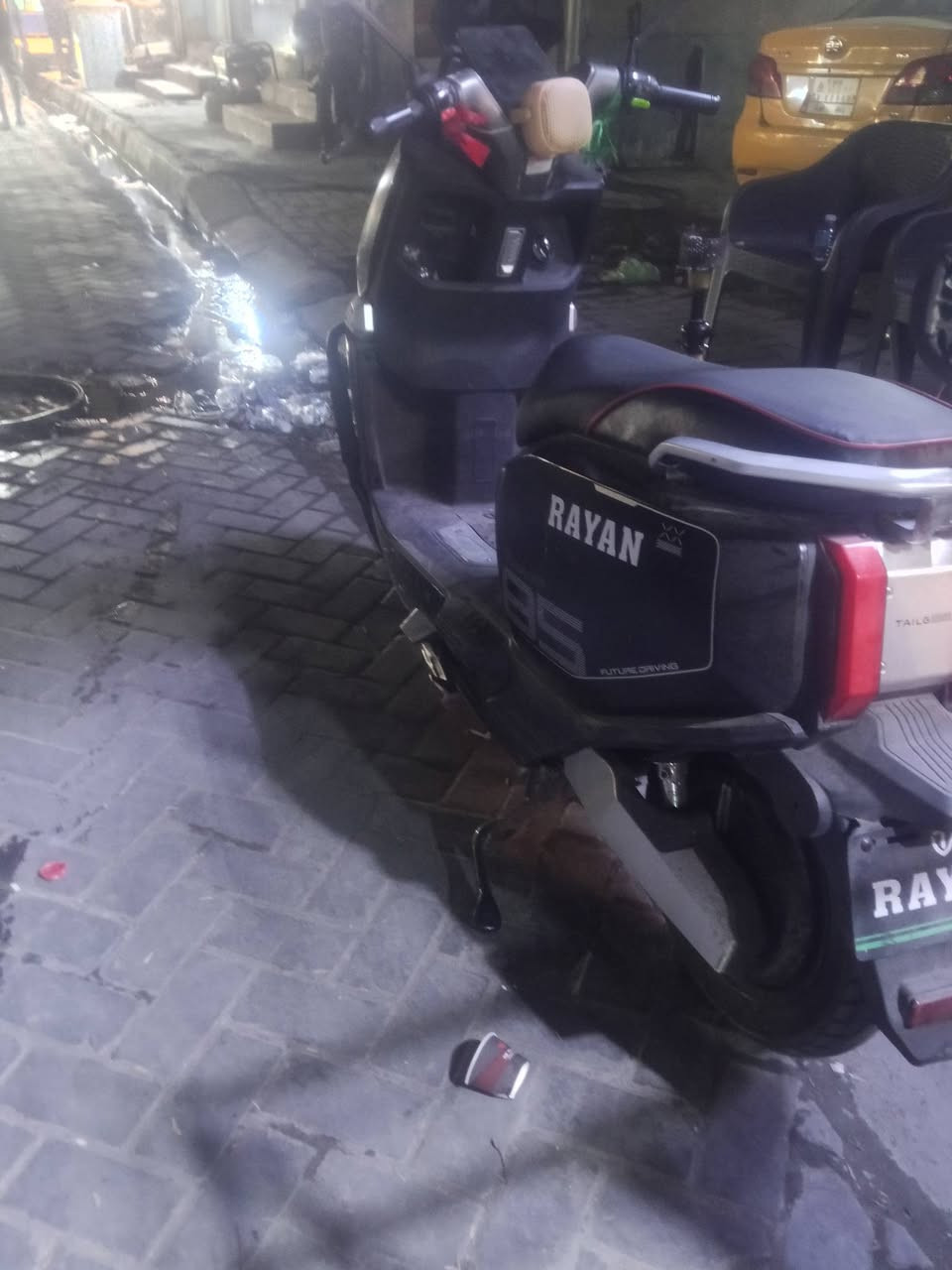 سكنس فحل • ريان