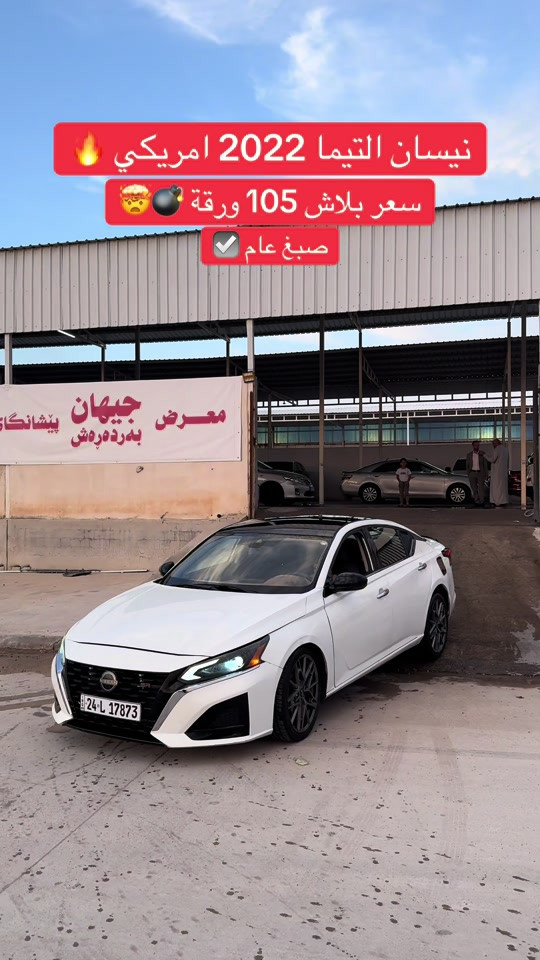 التيما ٢٠٢٢ • امريكي • صبغ عام