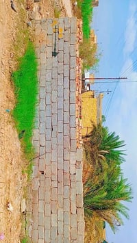 قطعة زراعية • ركن على شارعين • ٢٤٠م