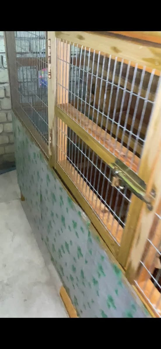 قفص جديد ومرتب 
عرض ٢ متر
وارتفاع متر و٢٠
المكان مدينة الصدر 
الرقم ***********
