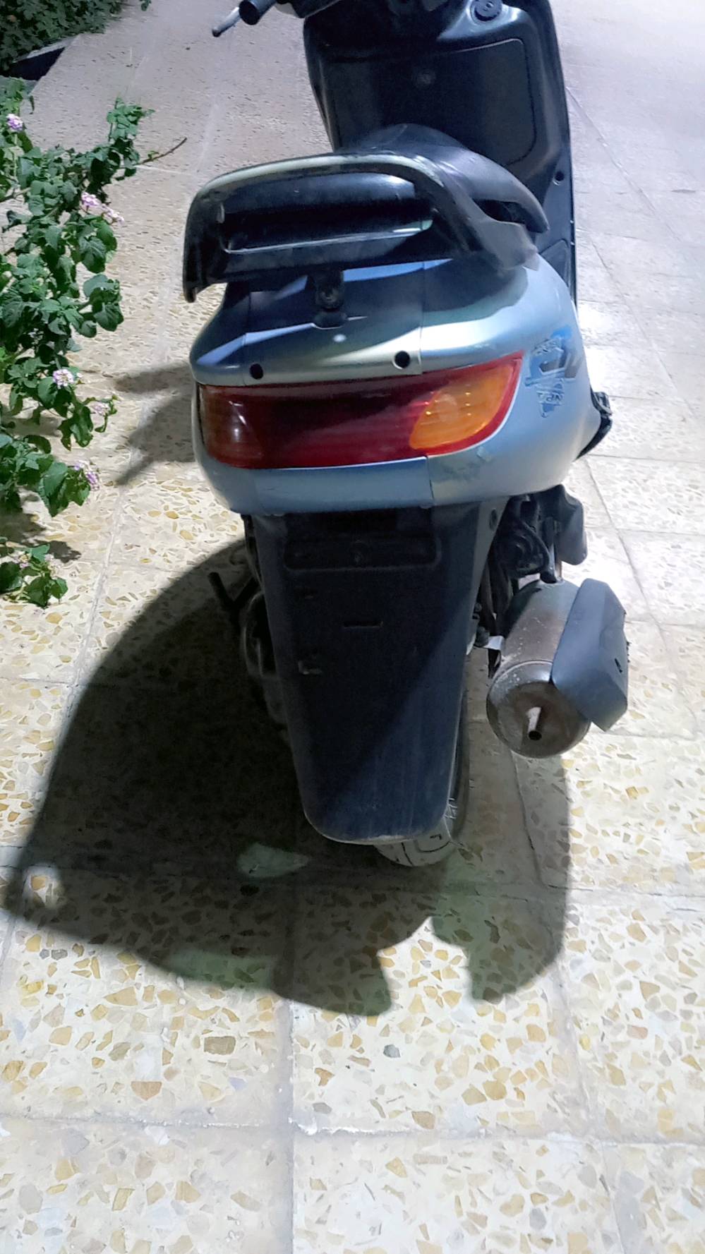فراشة • بابل • مجال